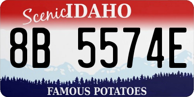 ID license plate 8B5574E