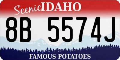 ID license plate 8B5574J