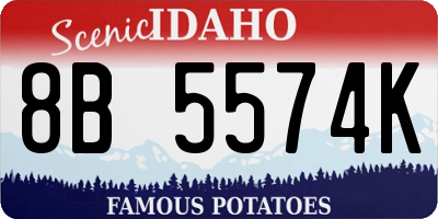 ID license plate 8B5574K