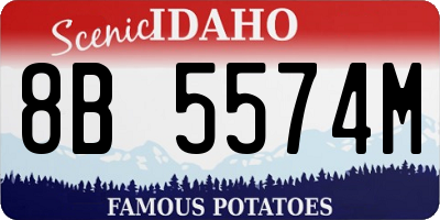 ID license plate 8B5574M