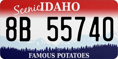 ID license plate 8B5574O