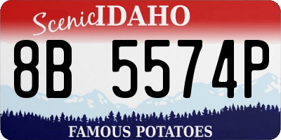 ID license plate 8B5574P