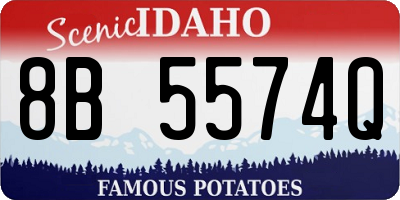 ID license plate 8B5574Q