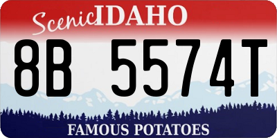 ID license plate 8B5574T