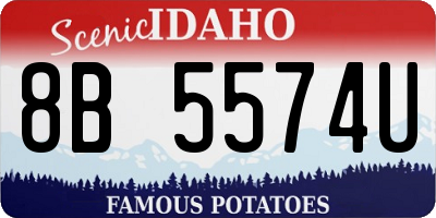 ID license plate 8B5574U