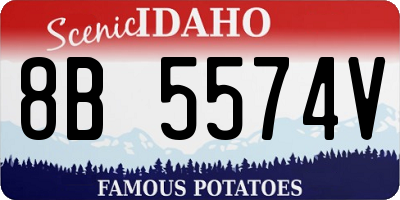 ID license plate 8B5574V