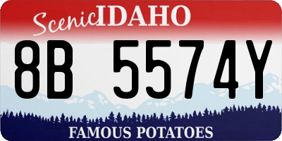 ID license plate 8B5574Y