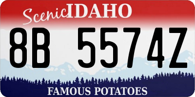 ID license plate 8B5574Z