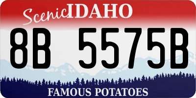 ID license plate 8B5575B