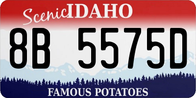 ID license plate 8B5575D