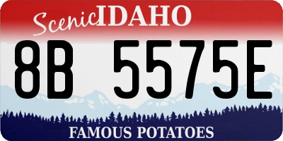 ID license plate 8B5575E