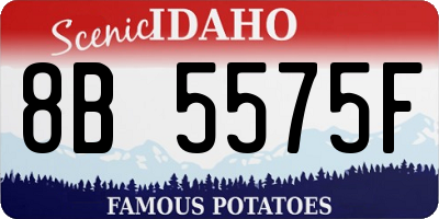 ID license plate 8B5575F