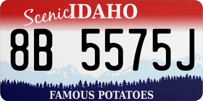 ID license plate 8B5575J