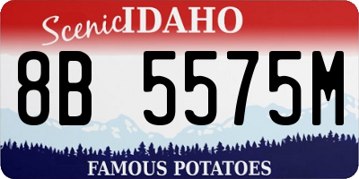 ID license plate 8B5575M