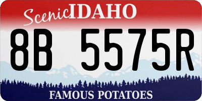 ID license plate 8B5575R