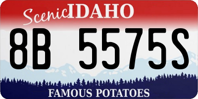 ID license plate 8B5575S