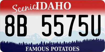 ID license plate 8B5575U