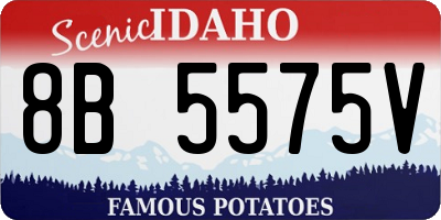 ID license plate 8B5575V