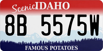 ID license plate 8B5575W