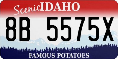 ID license plate 8B5575X