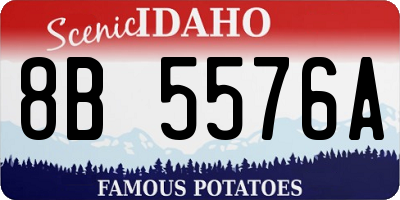ID license plate 8B5576A