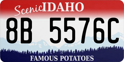ID license plate 8B5576C
