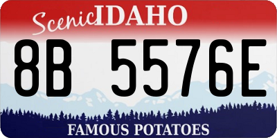 ID license plate 8B5576E