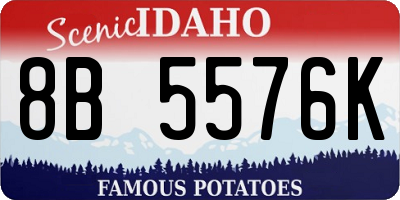 ID license plate 8B5576K