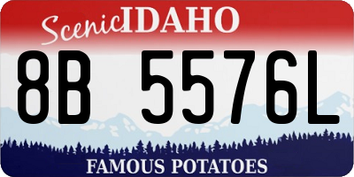ID license plate 8B5576L