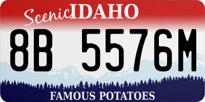 ID license plate 8B5576M