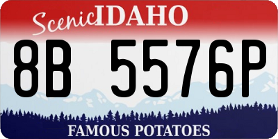 ID license plate 8B5576P