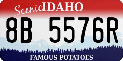 ID license plate 8B5576R