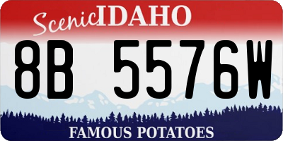 ID license plate 8B5576W