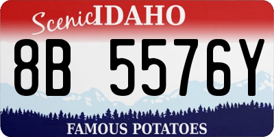 ID license plate 8B5576Y