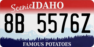 ID license plate 8B5576Z