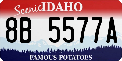 ID license plate 8B5577A
