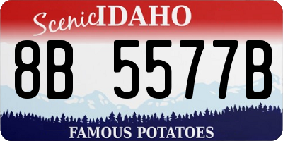 ID license plate 8B5577B