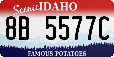 ID license plate 8B5577C
