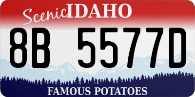 ID license plate 8B5577D
