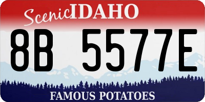 ID license plate 8B5577E