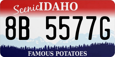 ID license plate 8B5577G