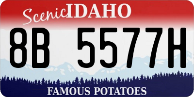 ID license plate 8B5577H