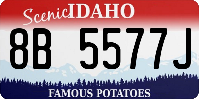 ID license plate 8B5577J
