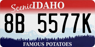 ID license plate 8B5577K