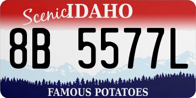 ID license plate 8B5577L