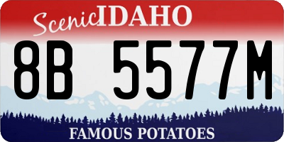 ID license plate 8B5577M