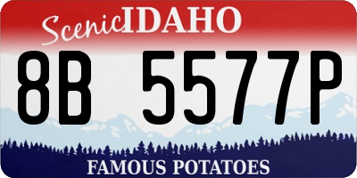 ID license plate 8B5577P