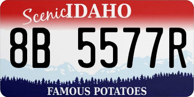 ID license plate 8B5577R