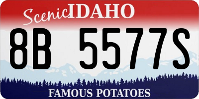 ID license plate 8B5577S