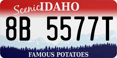 ID license plate 8B5577T